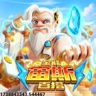 顶尖商务团队支持